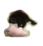 黒猫の可愛いジジ（個別スタンプ：7）