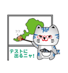 小浜市公認キャラ「さばとらななちゃん」（個別スタンプ：13）