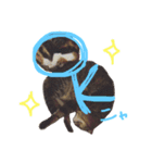 ねこ☆ペタ（個別スタンプ：6）