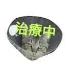 あきらの気持ち（個別スタンプ：1）