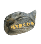 あきらの気持ち（個別スタンプ：12）