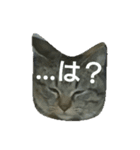 あきらの気持ち（個別スタンプ：15）