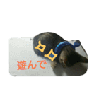 あきらの気持ち（個別スタンプ：18）