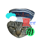 あきらの気持ち（個別スタンプ：24）
