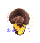 可愛い兄弟（個別スタンプ：2）