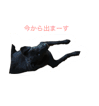 黒ラブ似くーちゃん（個別スタンプ：15）