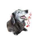 ここぽんすたんぷ with にゃあ（個別スタンプ：2）