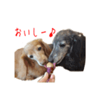 ここぽんすたんぷ with にゃあ（個別スタンプ：4）