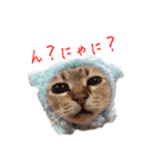 ここぽんすたんぷ with にゃあ（個別スタンプ：8）