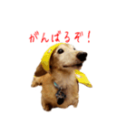 ここぽんすたんぷ with にゃあ（個別スタンプ：12）