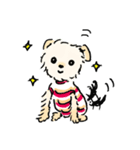 マルヨーキーのくぅちゃん（個別スタンプ：1）