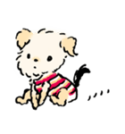 マルヨーキーのくぅちゃん（個別スタンプ：2）