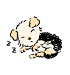 マルヨーキーのくぅちゃん（個別スタンプ：6）