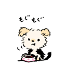 マルヨーキーのくぅちゃん（個別スタンプ：7）