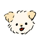 マルヨーキーのくぅちゃん（個別スタンプ：8）