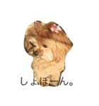 ピノコとあくび♡（個別スタンプ：10）