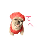還暦がっちゃん♡（個別スタンプ：3）