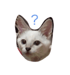 オハナ   3ヶ月です（個別スタンプ：1）