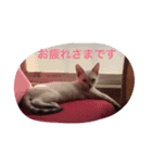 オハナ   3ヶ月です（個別スタンプ：7）