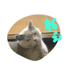 h-jimen（個別スタンプ：1）