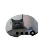 h-jimen（個別スタンプ：2）
