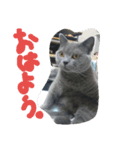 h-jimen（個別スタンプ：3）