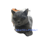 h-jimen（個別スタンプ：8）