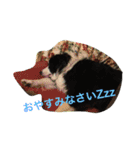 お気楽ボーダー2（個別スタンプ：10）