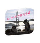 お気楽ボーダー2（個別スタンプ：11）