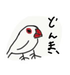 文鳥なぜ（個別スタンプ：8）