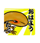 トカゲ好きなたくさん専用スタンプ（個別スタンプ：29）
