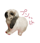 ちむ2（個別スタンプ：3）