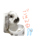 ちむ2（個別スタンプ：4）