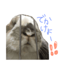 ちむ2（個別スタンプ：5）