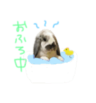 ちむ2（個別スタンプ：7）