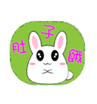 Fat rabbit - daily response（個別スタンプ：6）