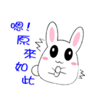 Fat rabbit - daily response（個別スタンプ：31）