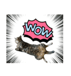 猫のノラとテリー3（個別スタンプ：10）