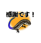 ニホントカゲ好きなスタンプ！（個別スタンプ：9）