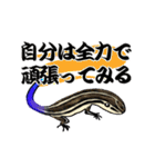 ニホントカゲ好きなスタンプ！（個別スタンプ：16）