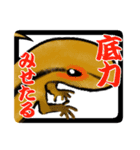 ニホントカゲ好きなスタンプ！（個別スタンプ：37）