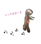 toypoodlemoppy（個別スタンプ：5）