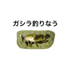 魚の言葉（個別スタンプ：2）