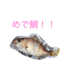 魚の言葉（個別スタンプ：3）