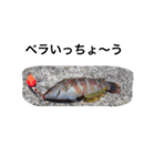 魚の言葉（個別スタンプ：4）