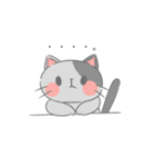 毎日使えるにゃんこスタンプ（個別スタンプ：5）