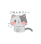 毎日使えるにゃんこスタンプ（個別スタンプ：6）