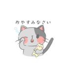 毎日使えるにゃんこスタンプ（個別スタンプ：20）