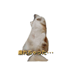 ginn（個別スタンプ：2）