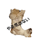 ginn（個別スタンプ：3）